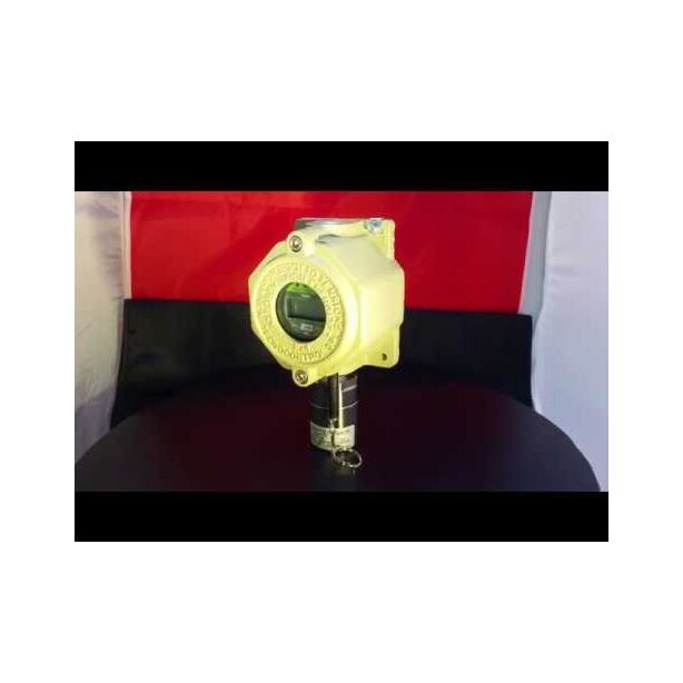 Gas Detector Methane in explosion proof housing