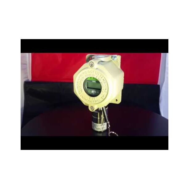 LPG Gas Detector in explosion proof housing