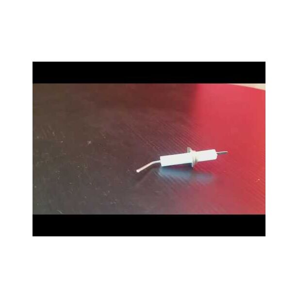 Electrode