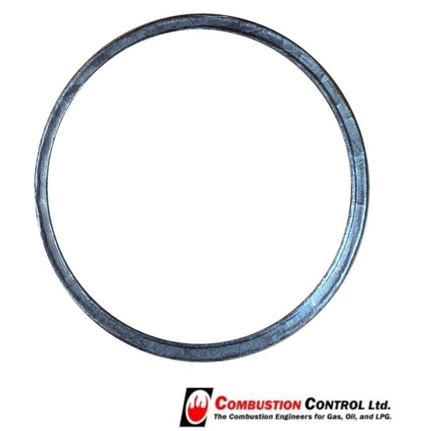 Ari Gasket Dn 50