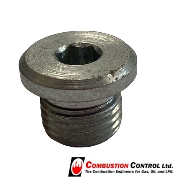 Brass Plug 1/4" BSPT