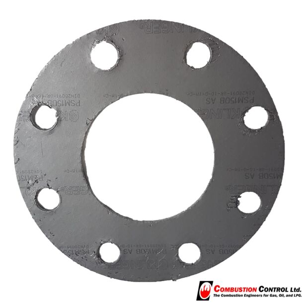 Graphite Gasket Psm 1.5 100NB TH F/F