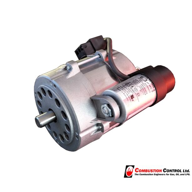 Motor 100W