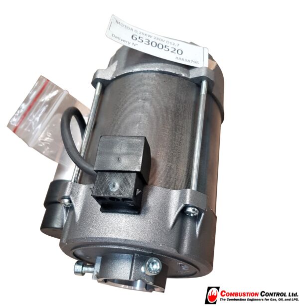 Elco motor for VG290, 250w