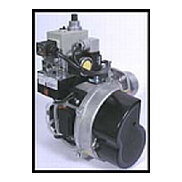 Ecoflam Gas Burner MaxGas 40P TC Without gas train