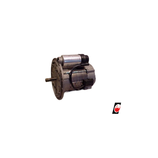EF Motor 250w  AEG Minor 30, Major 25"