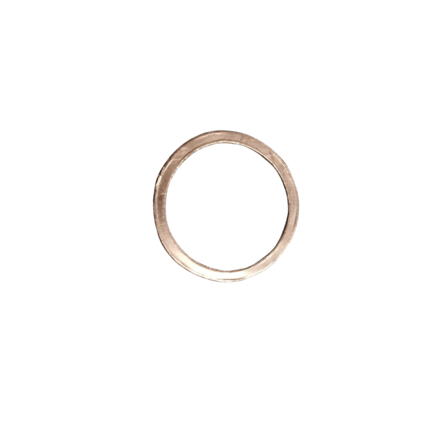 Ari Gasket DN 25