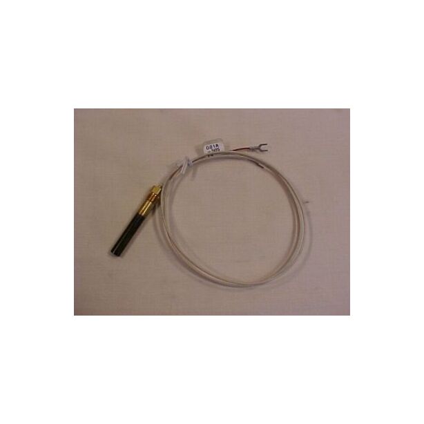 Thermopile 2 wire WR 900 long