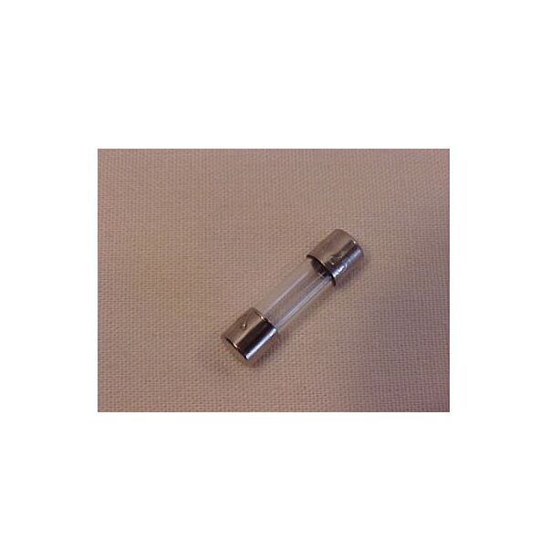 AR Fuse 1 amp
