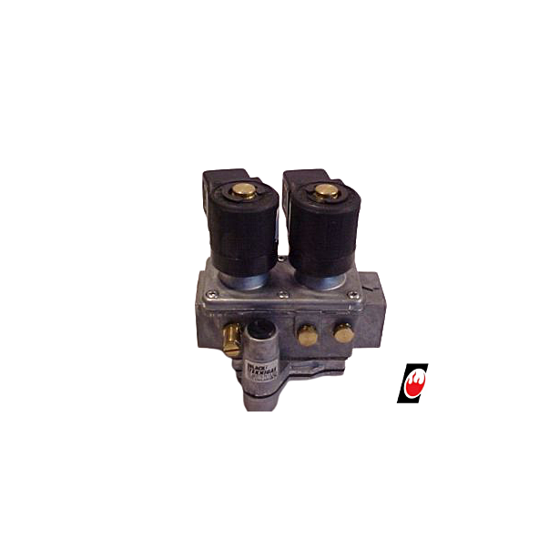 Black Teknigas Double Solenoid Valve With Regulator 3/8" 230V 60mbar(Max) 2443212-45