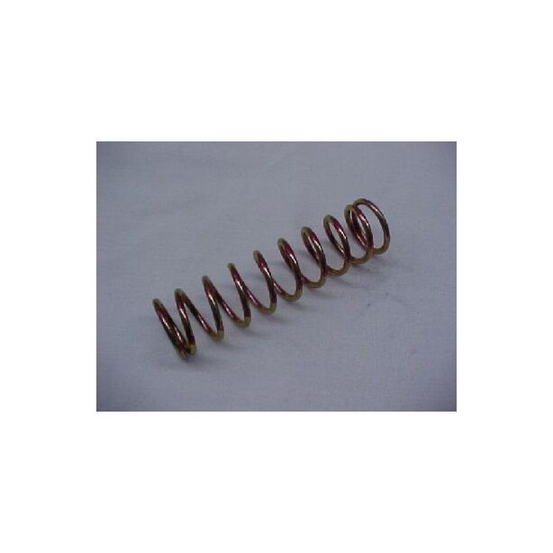Reg AM Spring 1.87-2.99Kpa red