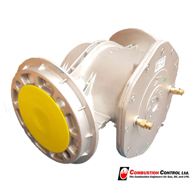 PF Gas Filter Dn80 10bar 