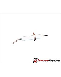 Electrode