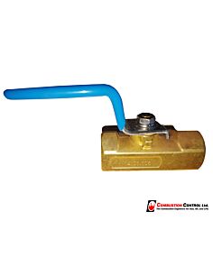 Check Ball Valve 1/4" Fm x Fm 2600Kpa