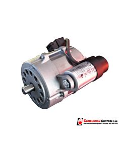 Motor 100W