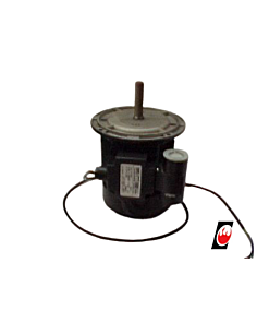 EF Motor 300W for BLU350