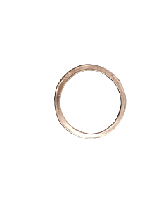 Ari Gasket DN 25